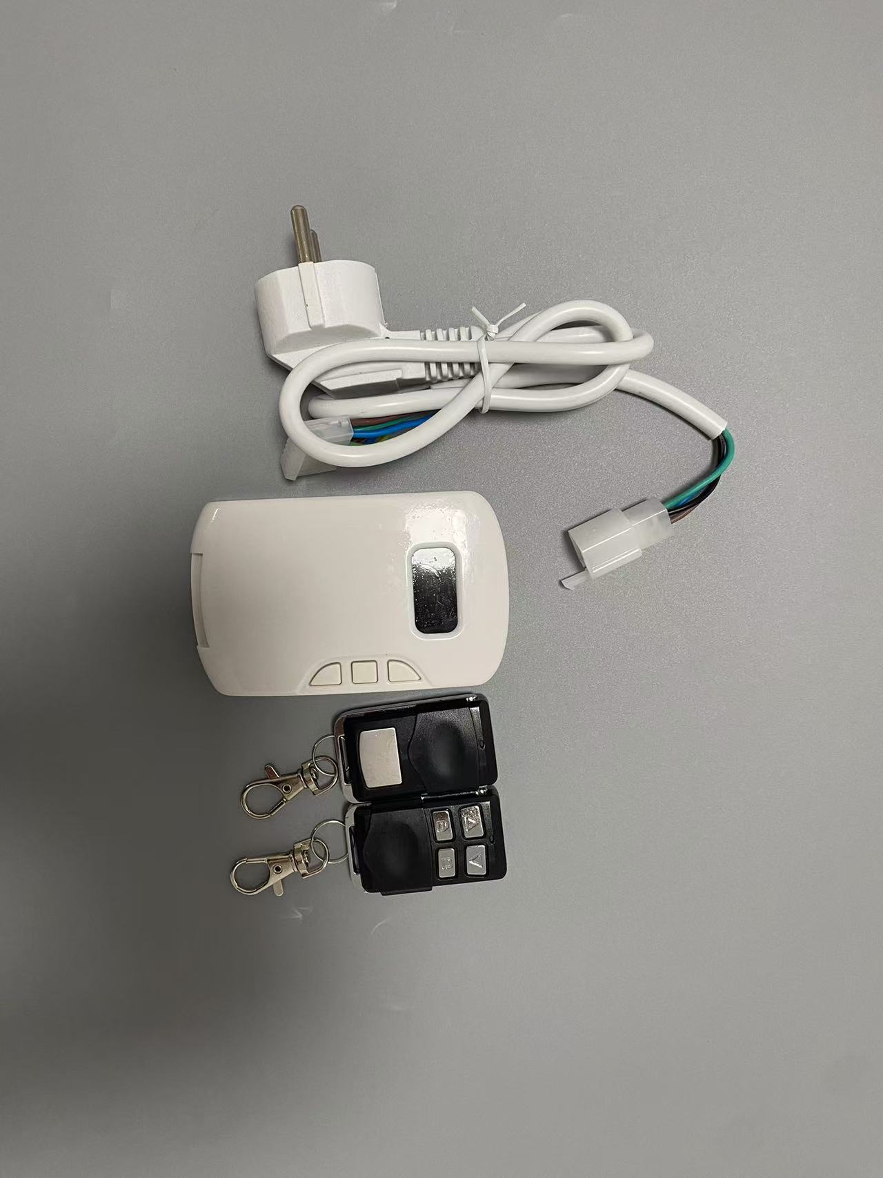 Modern Waterproof RF Remote Control Garage Gate Opener Designed for Villa Use
